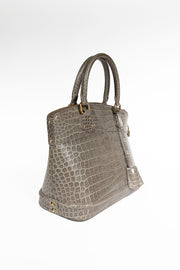 Crocodile Leather Lockit PM Bag - Limited Edition