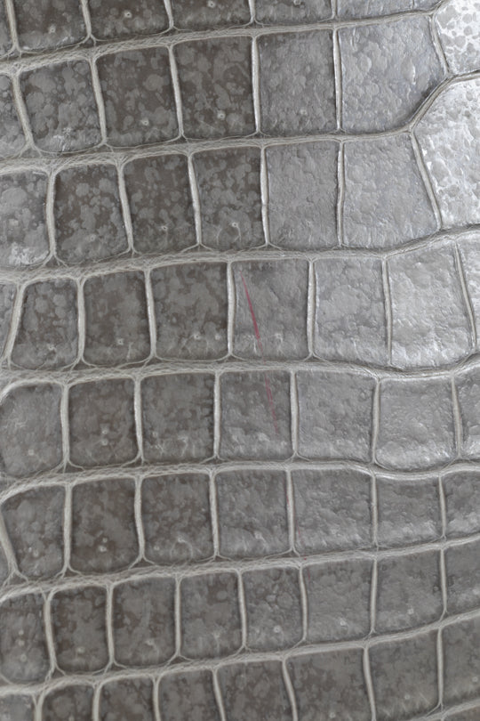 Crocodile Leather Lockit PM Bag - Limited Edition