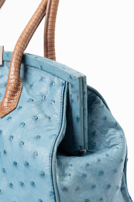 Analeena Ostrich Leather Tote Bag