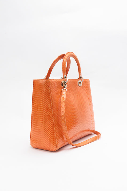 Python Haute Maroquinerie Lady Dior Tote Bag
