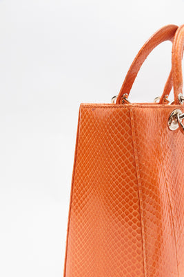 Python Haute Maroquinerie Lady Dior Tote Bag - #5