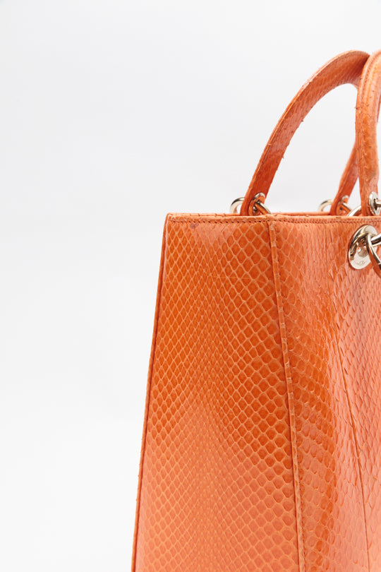 Python Haute Maroquinerie Lady Dior Tote Bag