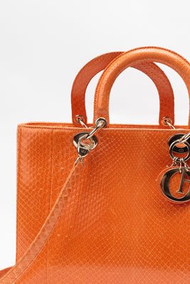 Python Haute Maroquinerie Lady Dior Tote Bag - #6