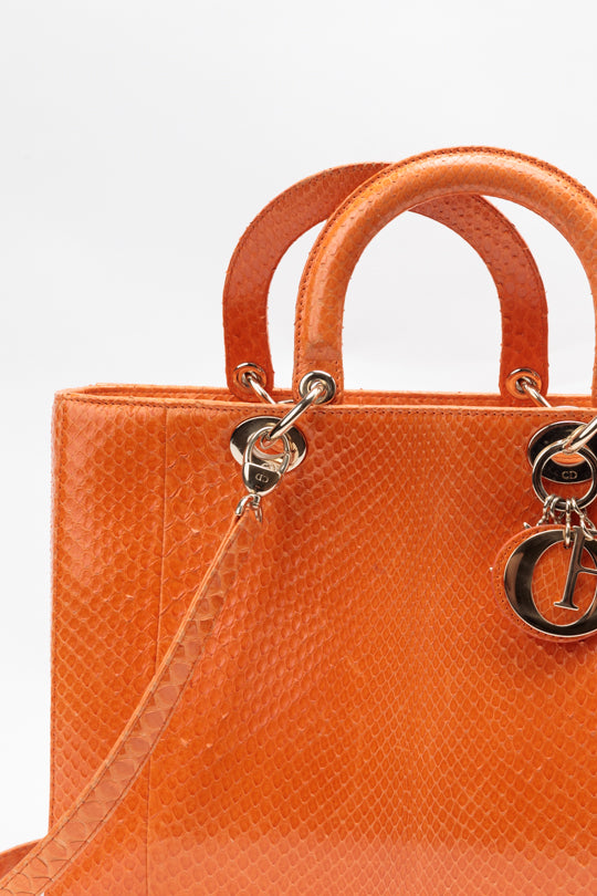 Python Haute Maroquinerie Lady Dior Tote Bag Match and Styles