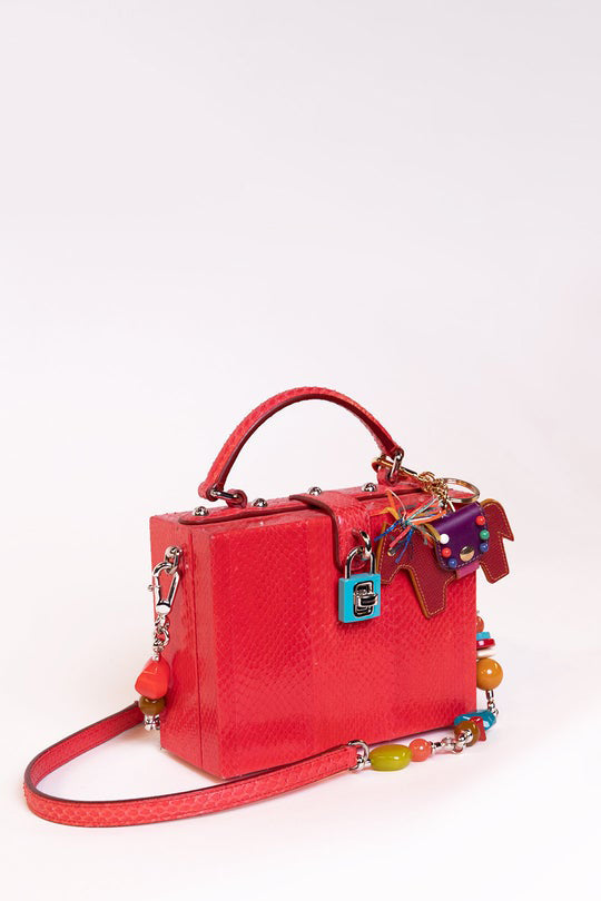 Dolce and Gabbana box python bag 