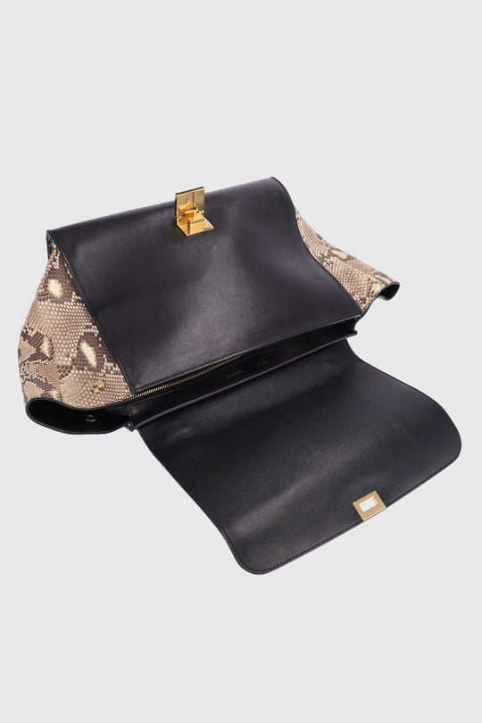 Celine Python Leather Bag