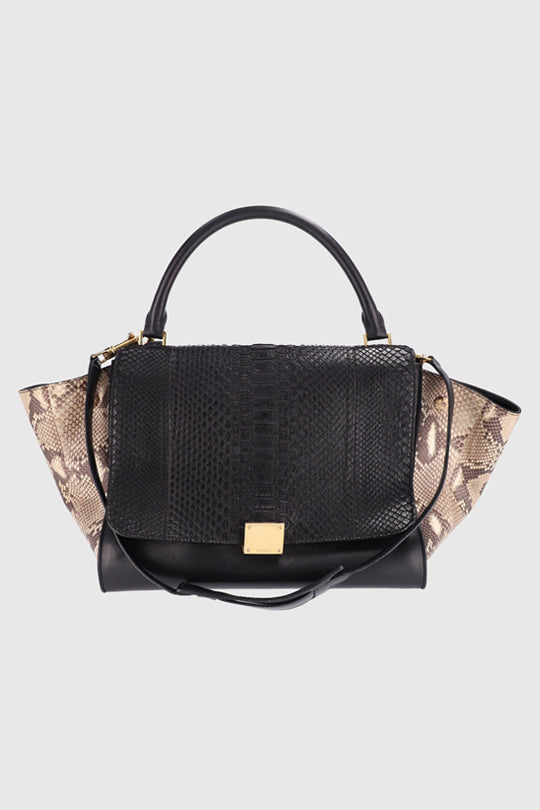 Celine Python Leather Bag
