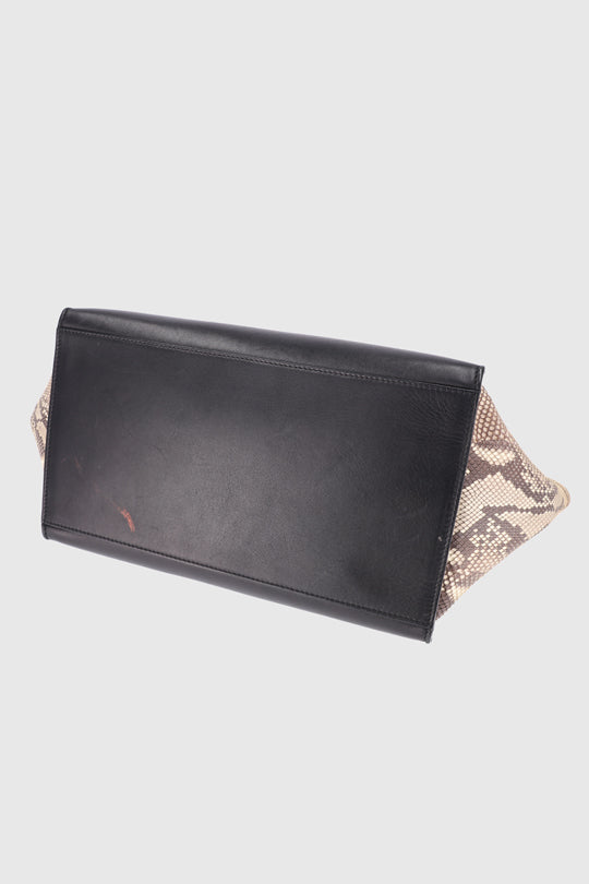 Celine Python Leather Bag