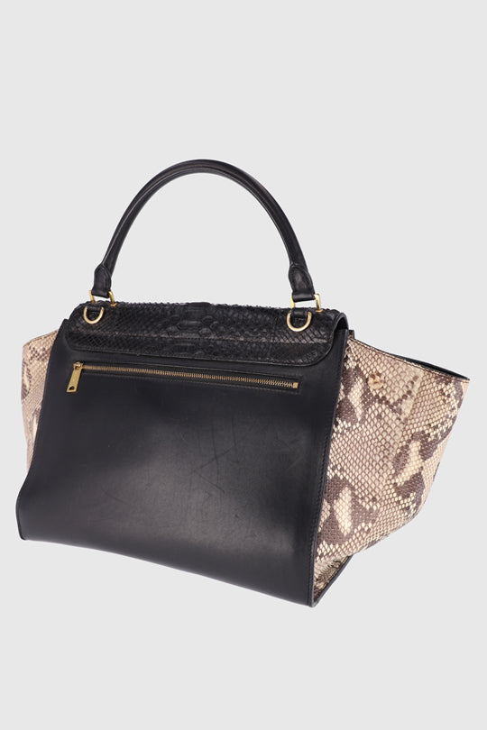 Celine Python Leather Bag