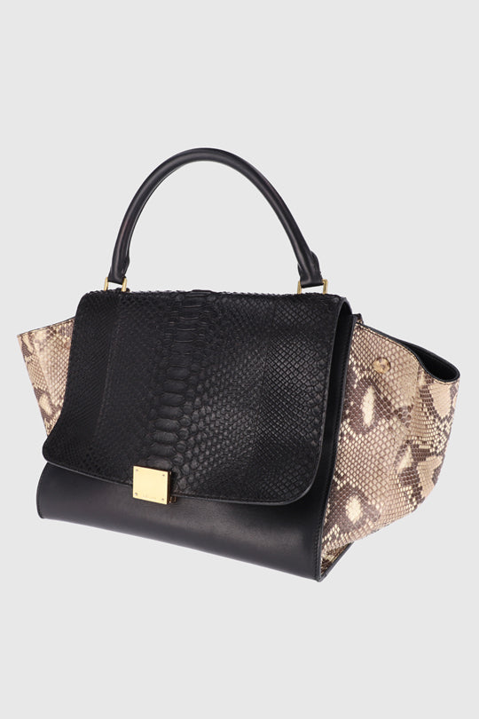 Celine Python Leather Bag Match and Style
