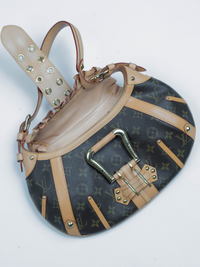 Etoile Louis Vuitton Bag - #3